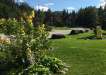 middle-brook-property-in-summer_01